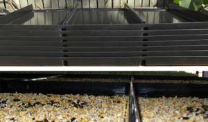 DIY Fodder Systems - Fodder Trays